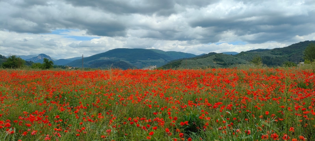 campi Valnerina